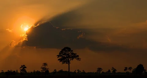 Landscape silhouette clouds move in evening sunset Stock Footage 108075778