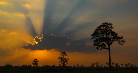 Landscape silhouette clouds move in evening sunset . Video stock 108076700