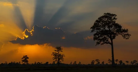 Landscape silhouette clouds move in evening sunset Time-lapse. Stock Footage 108079888