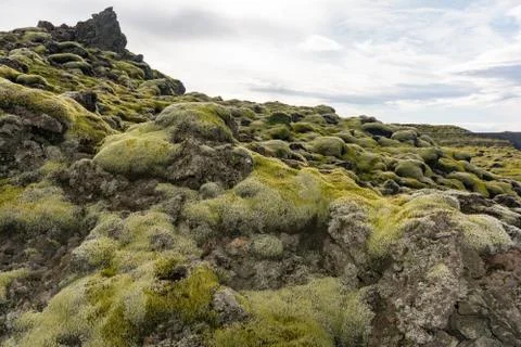 Landscape of Skaftafellsvegur Stock Photos