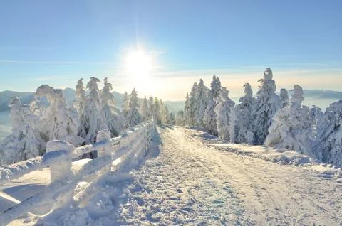 Landscape with ski slope in Poiana Brasov Stock Photos