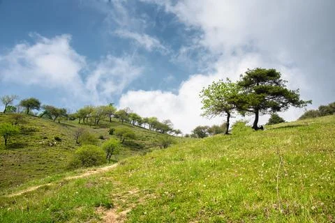 Landscape with sky and clouds Stock Photos