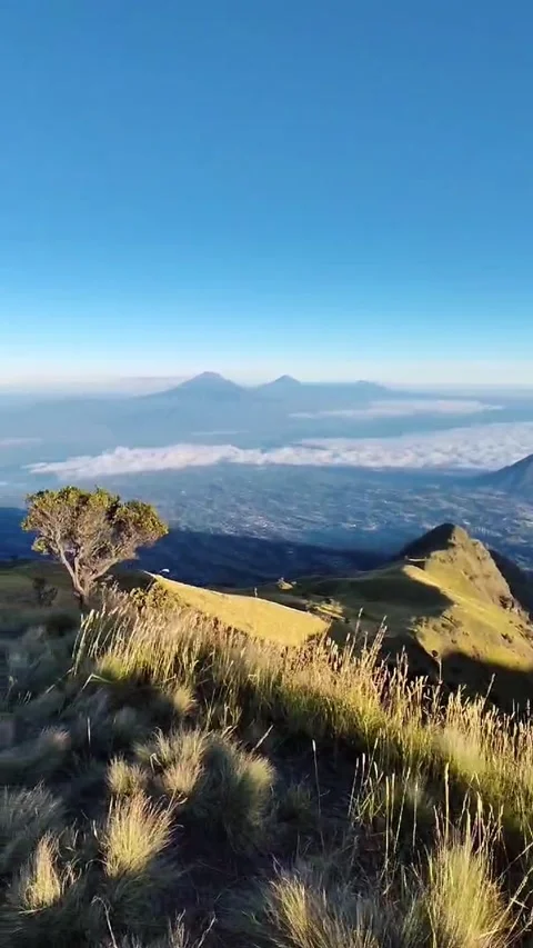 Landscape with sky and clouds from the top of merbabu mountain Stock Footage 280998006