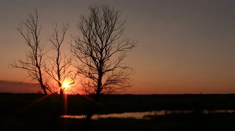 Landscape with the sky and trees in sunset Stock Footage 38338146