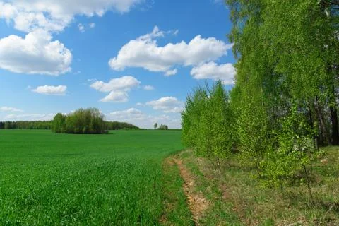 Landscape with sky Stock Photos