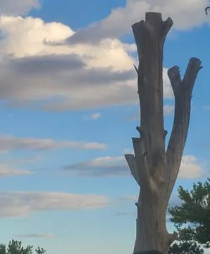 Landscape sky Stock Photos