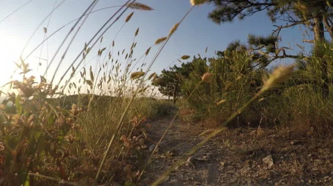 Landscape slopes at sunset Stock Footage 56316515
