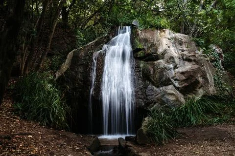 Landscape. A small fast waterfall in the wild picturesque nature. Forest, park Fotos de archivo