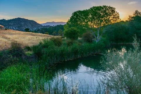 Landscape with a small lagoon lined with trees with a background of mountains Stock Photos