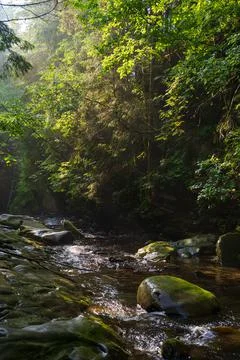 Landscape with small mountain river in Western Ukraine Stock Photos