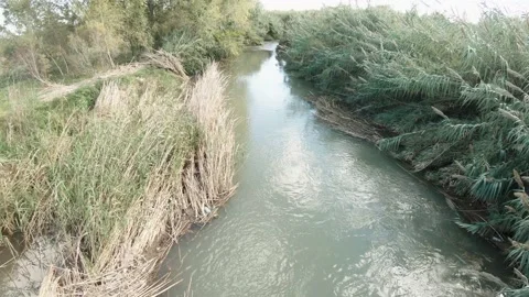 Landscape of small river in parkland 스톡 동영상 164651775
