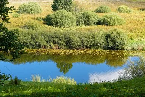 Landscape with a small river. Stock Photos