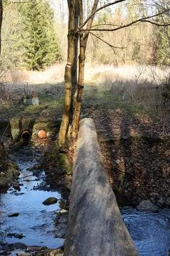 Landscape with a small stream in the forest in early spring. Stock Photos