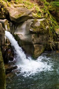 Landscape with small waterfall surrounded by the beech forest on a summer day 스톡 사진