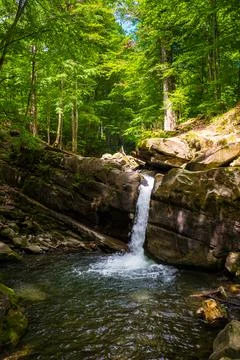 Landscape with small waterfall surrounded by the beech forest on a summer day Stock-Fotos