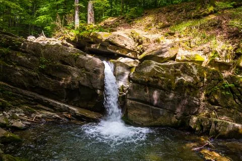 Landscape with small waterfall surrounded by the beech forest on a summer day Stock Photos