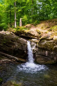 Landscape with small waterfall surrounded by the beech forest on a summer day Stock-Fotos