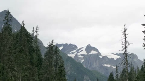 Landscape of snow-capped mountain tops and green firs Stock Footage 166548433