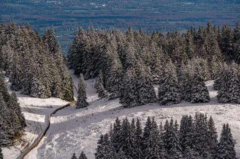 Landscape with snow covered trees. Tranquility and beauty in nature. Stock Photos
