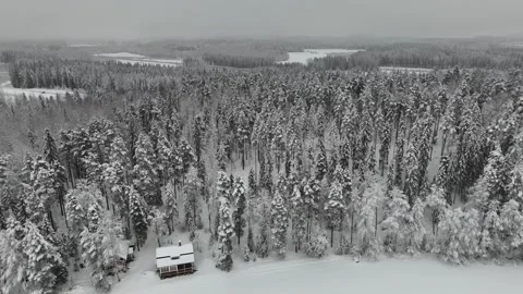 Landscape with snow covered trees with winter shoreline on icy lake Stock-Footage 262049446