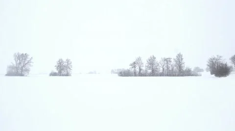 Landscape of a snowy fore Stock-Footage 61179278