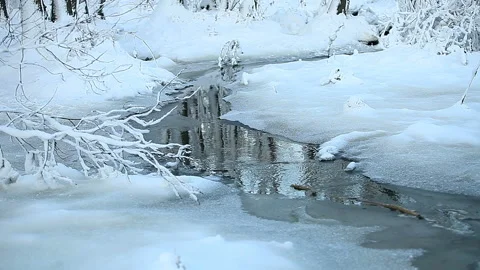 Landscape with a snowy stream Stock Footage 120903042