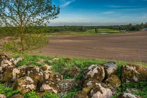 Landscape of spring fields of Estonia Stock Photos
