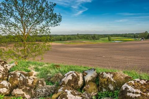 Landscape of spring fields of Estonia Stock Photos