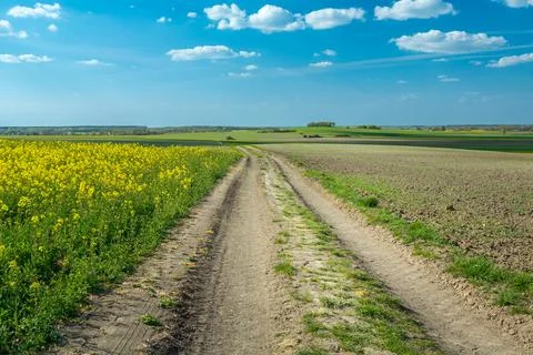 A landscape of spring fields with a rural road in eastern Poland Stock Photos