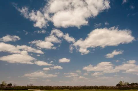 Landscape of spring Foto stock