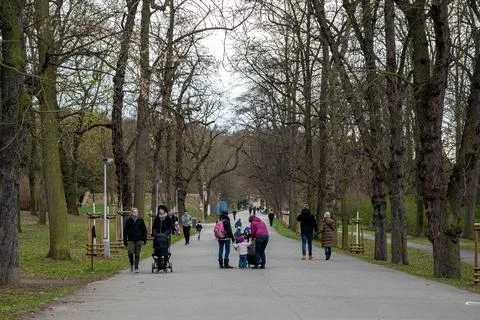 Landscape in the spring Foto stock