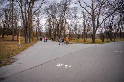 Landscape in the spring Stock Photos