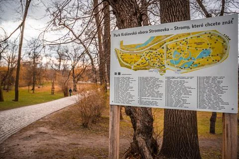 Landscape in the spring Stock Photos