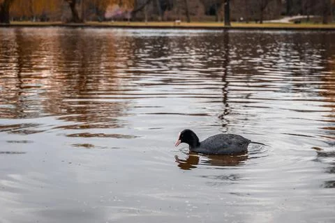 Landscape in the spring Stock Photos