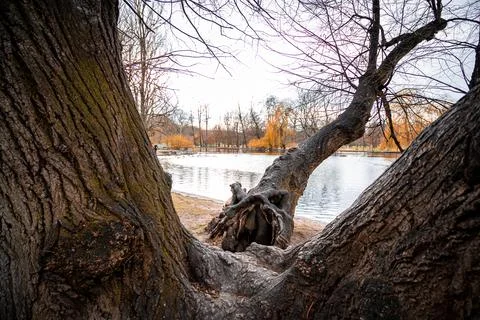 Landscape in the spring Stock Photos