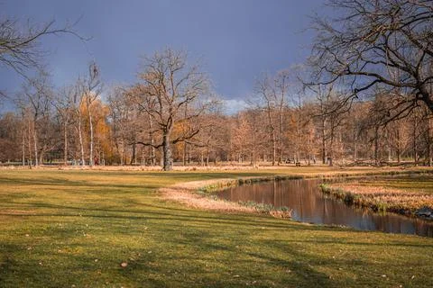 Landscape in the spring Foto stock
