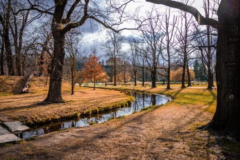 Landscape in the spring Stock Photos