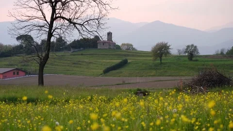 Landscape at spring with yellow flowers moving with the wind and a little old Stock Footage 153233285