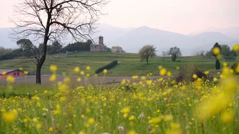 Landscape at spring with yellow flowers moving with the wind Video stock 153233374