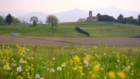 Landscape at spring with yellow flowers moving with the wind Stock Footage 153233409