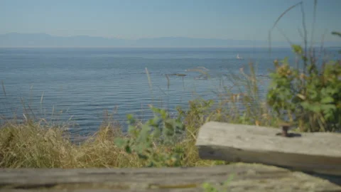 Landscape of the St-Lawrence River Stock Footage 211878555