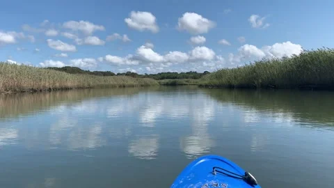 Landscape of still river with marsh from kayak Stock Footage 138880504