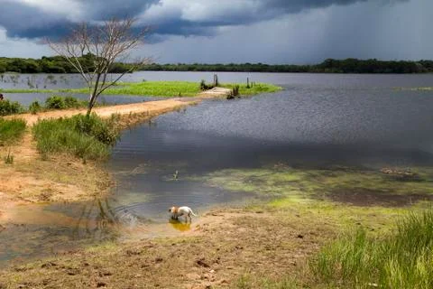 Landscape before storm Stock Photos