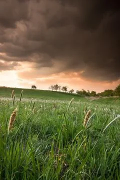 Landscape before storm Stock Photos