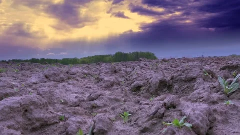 Landscape, stormy sky Stock Footage 130623288