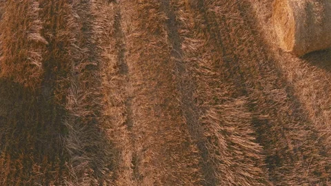 Landscape of straw bales against setting sun on background. Rural nature. Wheat Stock-Footage 188143356