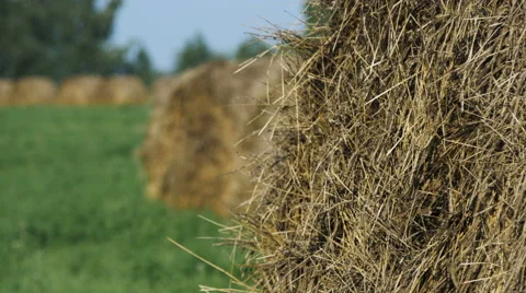 Landscape with Straw Bales in Summer Stock Footage 68177461