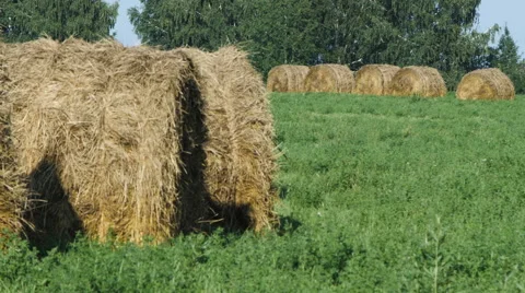 Landscape with Straw Bales in Summer Stock Footage 68177463