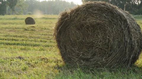 Landscape with Straw Bales in Summer Stock Footage 68177540