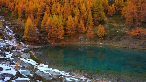 Landscape of stream, blue lake, mountain and yellow larch trees in Switzerland. Stock Footage 288887382